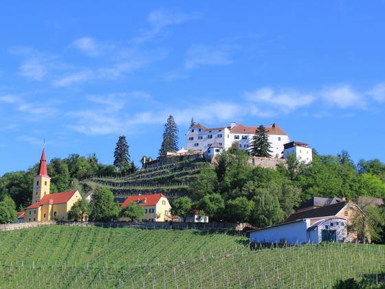 Schloss Kapfenstein