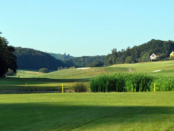 Traminer Golf Klöch