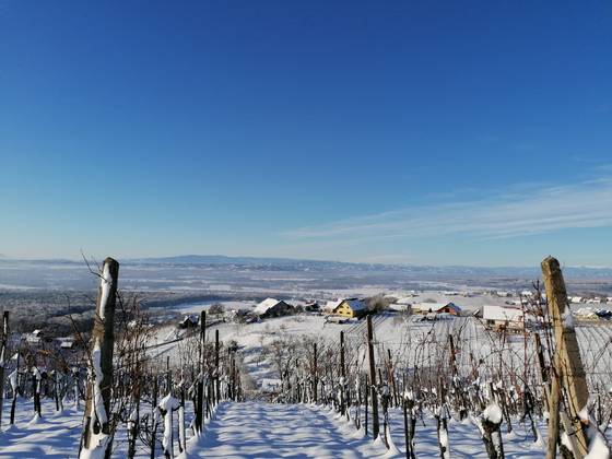 Winterwandern in Klöch_(c) Domittner