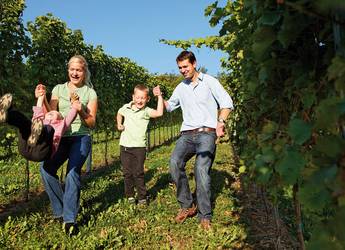 Spaziergang durch die Klöcher Weinberge