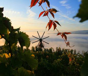 Die Marktgemeinde Klöch im Süden der Oststeiermark ist bekannt für seine wunderschönen Weinberge.