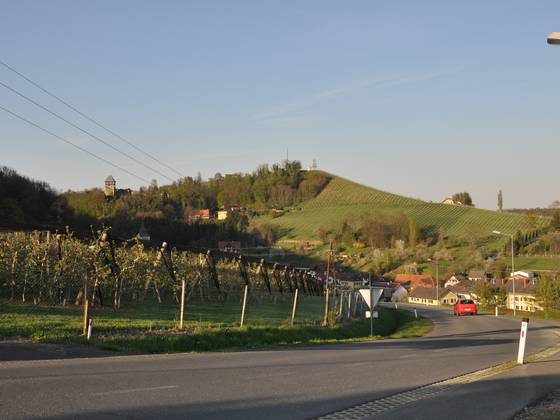 Klöch im Frühling