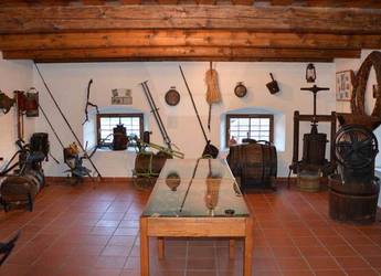 Führungen und Weinverkostungen sind im Weinbaumuseum gegen Voranmeldung möglich.