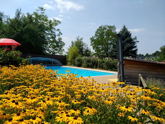 Freibad umgeben von Blumen und Weingärten